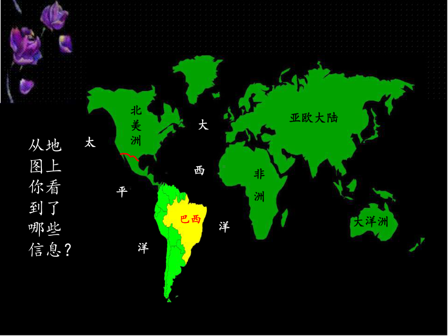 人教版七年级地理下册《巴西》PPT课件.ppt_第2页