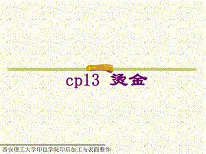 烫印PPT课件.ppt