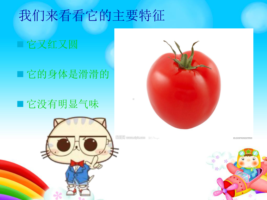 认识西红柿ppt课件.ppt_第3页