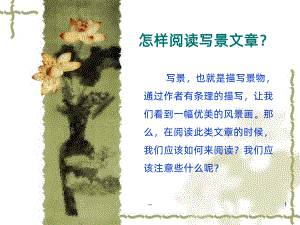 怎样阅读写景文章PPT课件.ppt