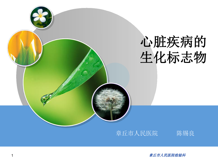 心脏疾病的生化标志物ppt课件.ppt_第1页