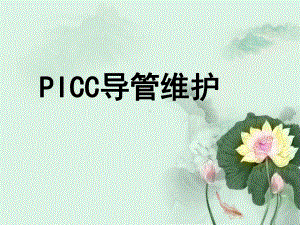 PICC维护及观察ppt课件.pptx