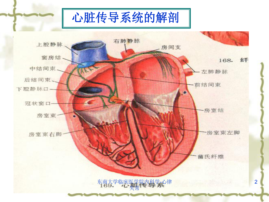 心率失常概述ppt课件.ppt_第2页