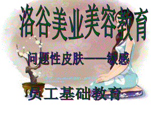 问题性肌肤敏感PPT课件.ppt