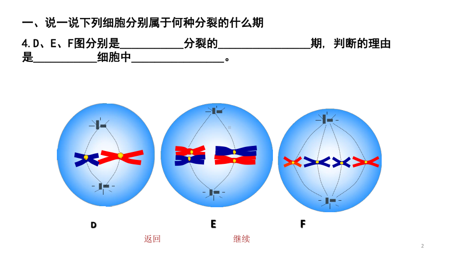 减数分裂练习题PPT课件.pptx_第2页