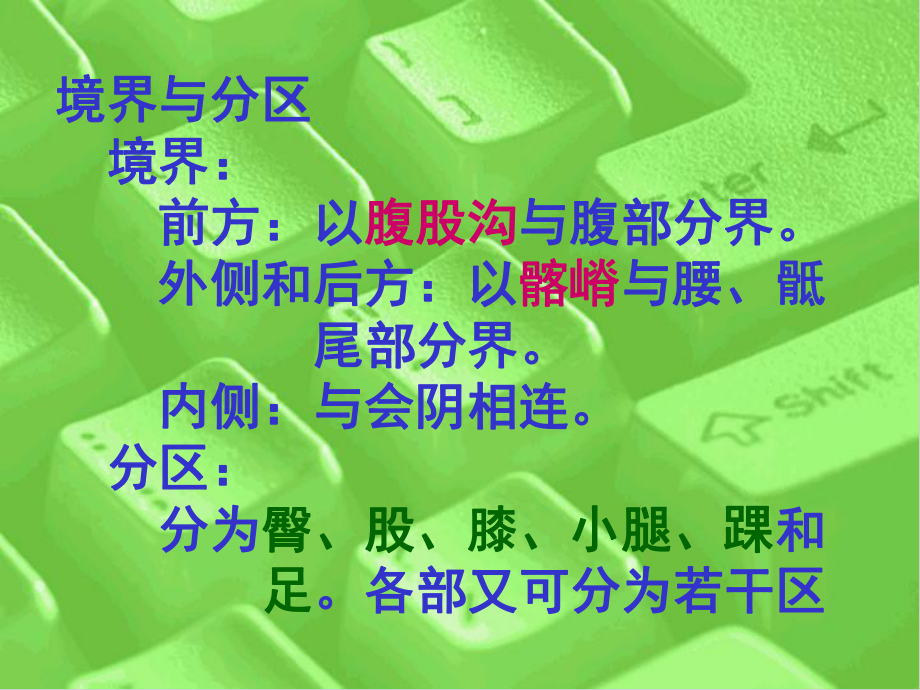 下肢局解PPT课件.ppt_第2页