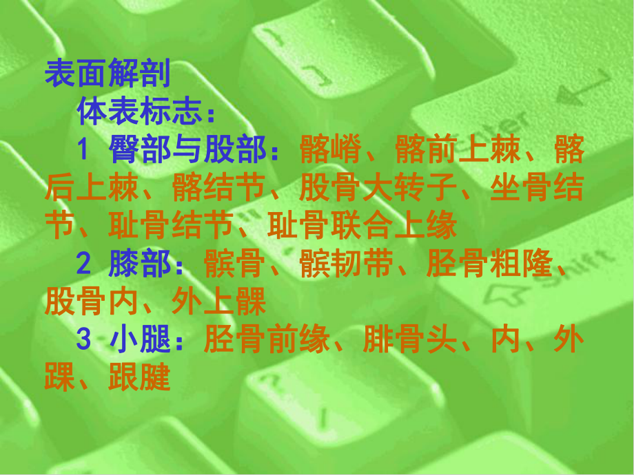 下肢局解PPT课件.ppt_第3页