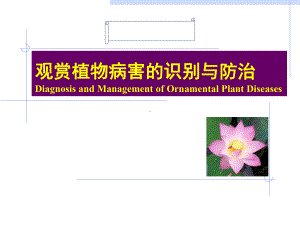 一植物病害的概念ppt课件.ppt