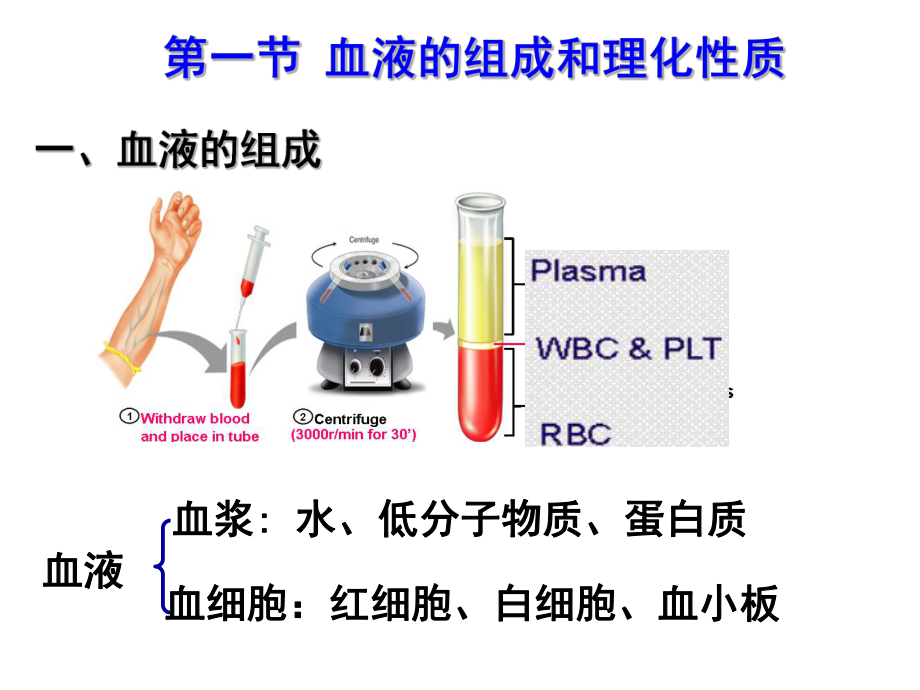 生理学第三章血液课件.ppt_第3页