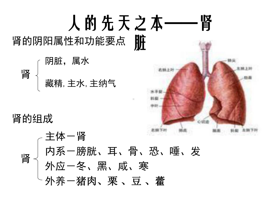 中-医-藏-象-学-PPT课件.ppt_第3页