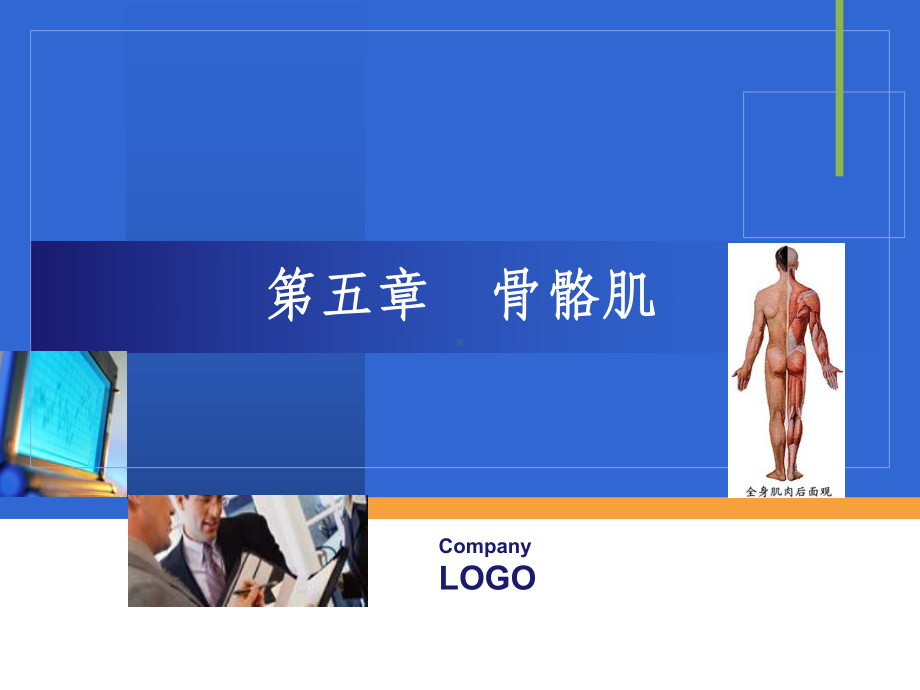 骨骼肌ppt课件.ppt_第1页