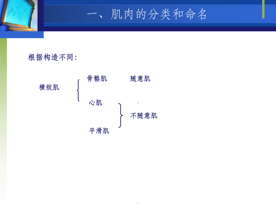 骨骼肌ppt课件.ppt_第3页