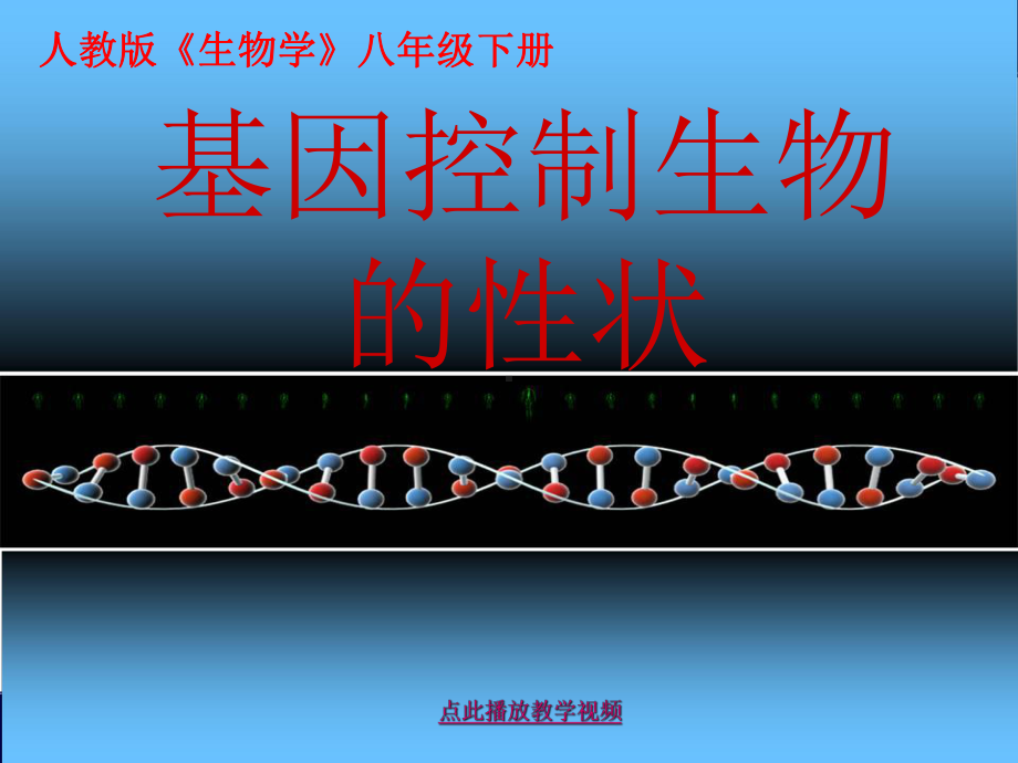 全国青年教师素养大赛一等奖课件基因控制生物的形状.ppt_第1页