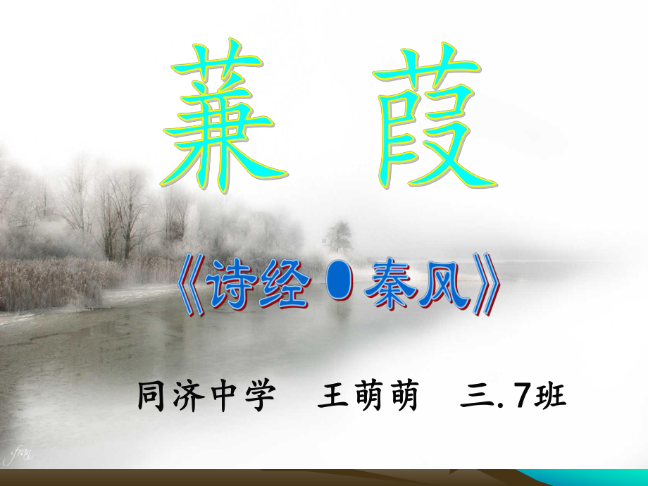 蒹葭公开课精美课件.ppt.ppt_第1页