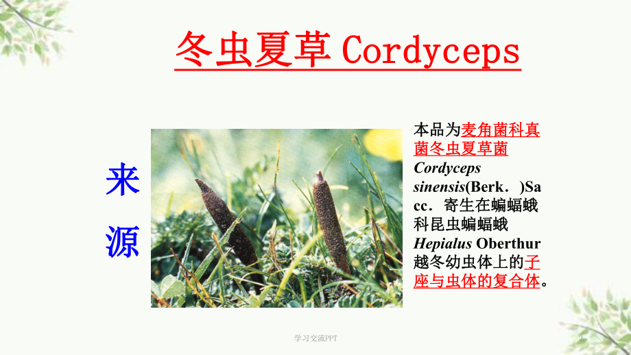 生药学(植物类生药)课件.ppt_第2页