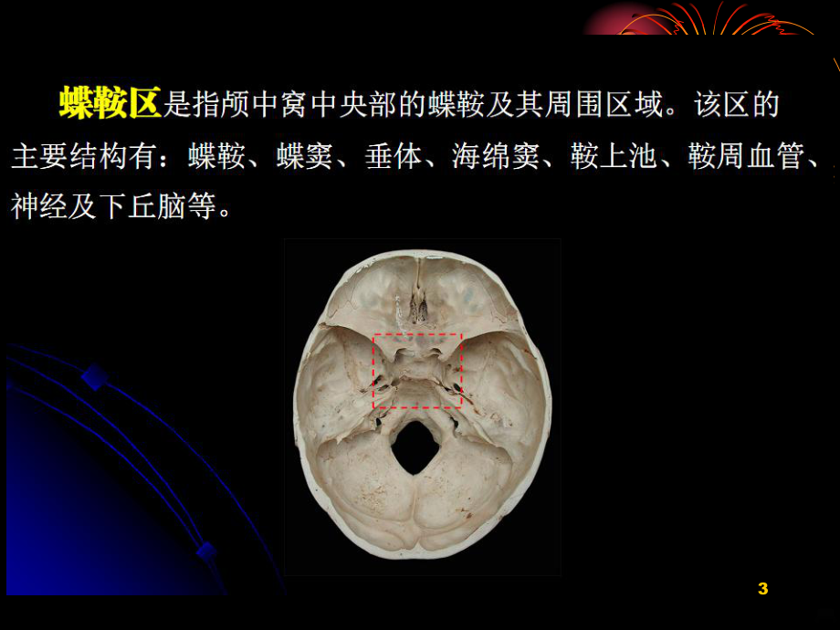 鞍区解剖PPT课件(同名407).ppt_第3页