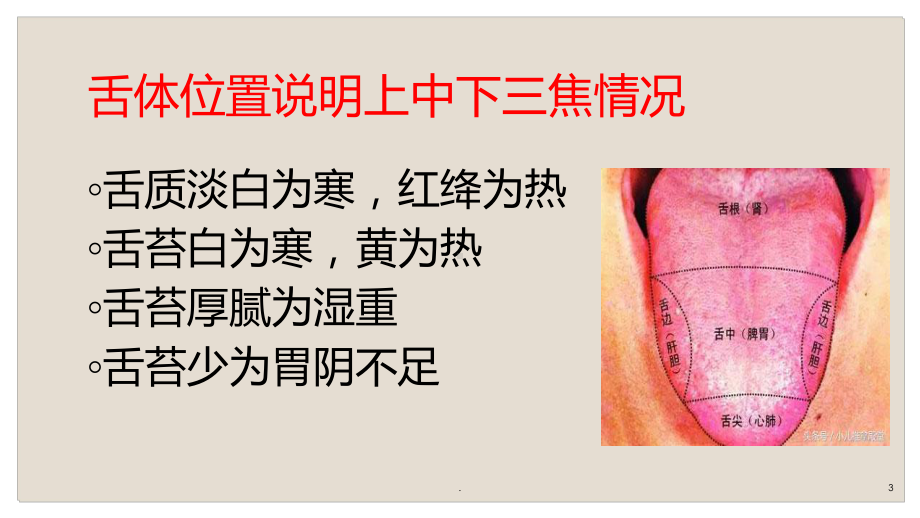 小儿舌诊PPT课件.ppt_第3页