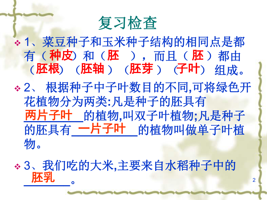 根的生长ppt课件.ppt_第2页