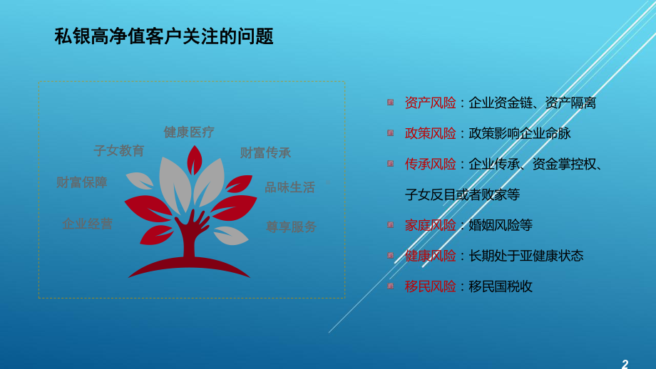 新华保险私银产品课件(4).pptx_第2页