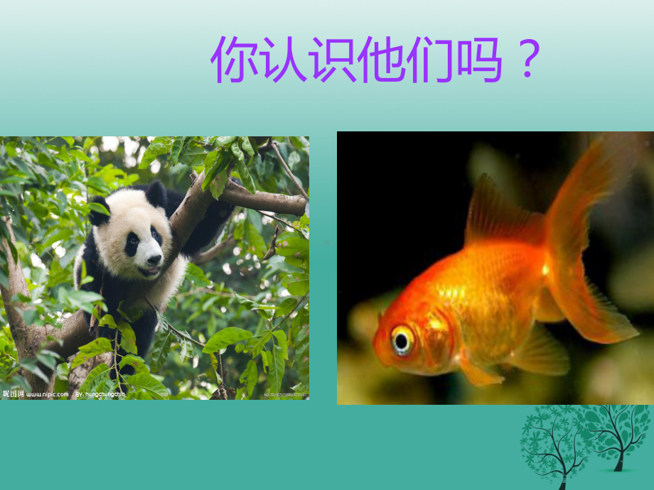 七年级生物上册第一章第一节形形色色的生物课件北师.ppt_第2页