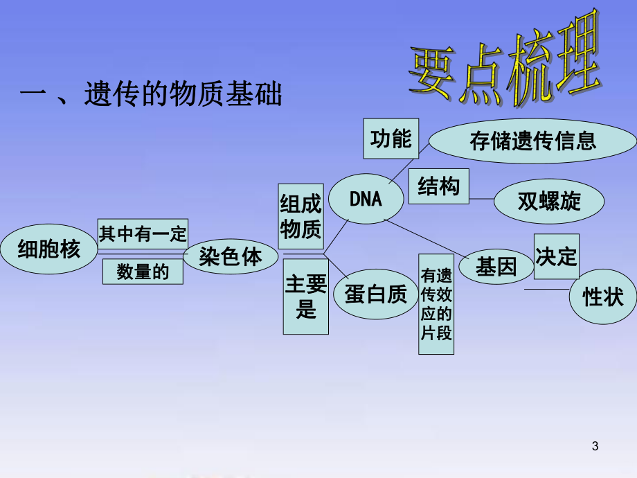 济南版八级下册生物四遗传和变异复习PPT课件.ppt_第3页