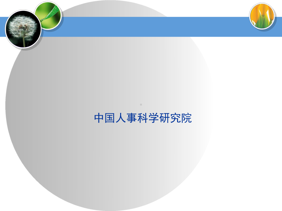 申论辅导精品PPT课件.ppt_第1页