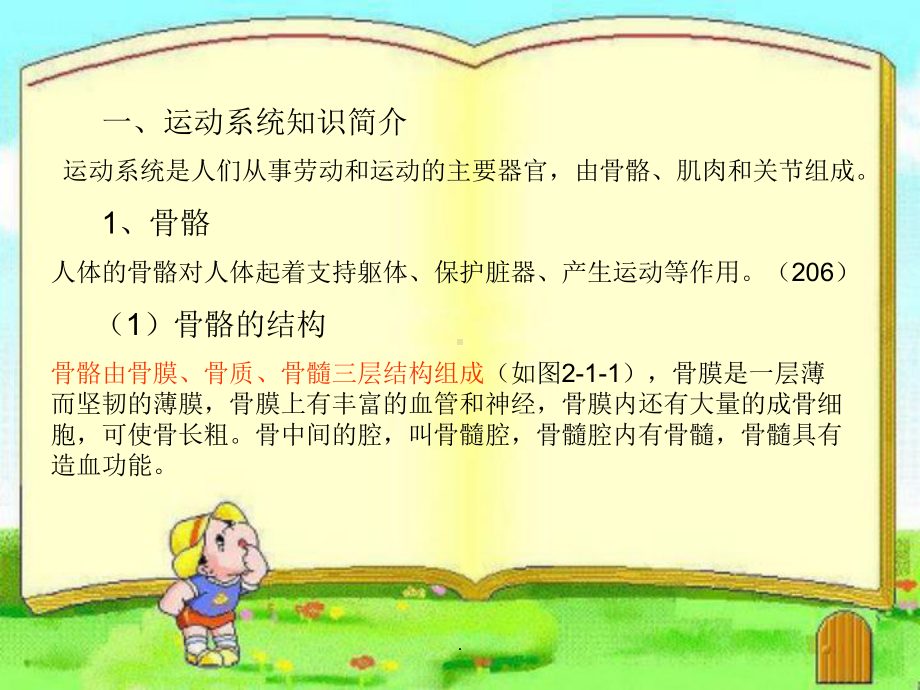 婴幼儿各系统解剖生理特点PPT课件.ppt_第2页