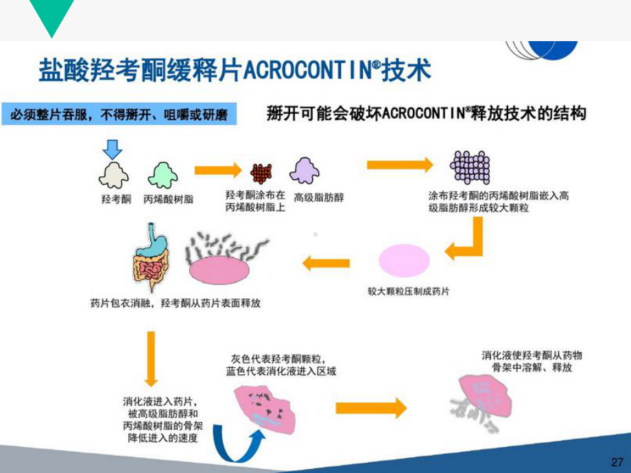 盐酸羟考酮缓释片PPT课件.ppt_第3页