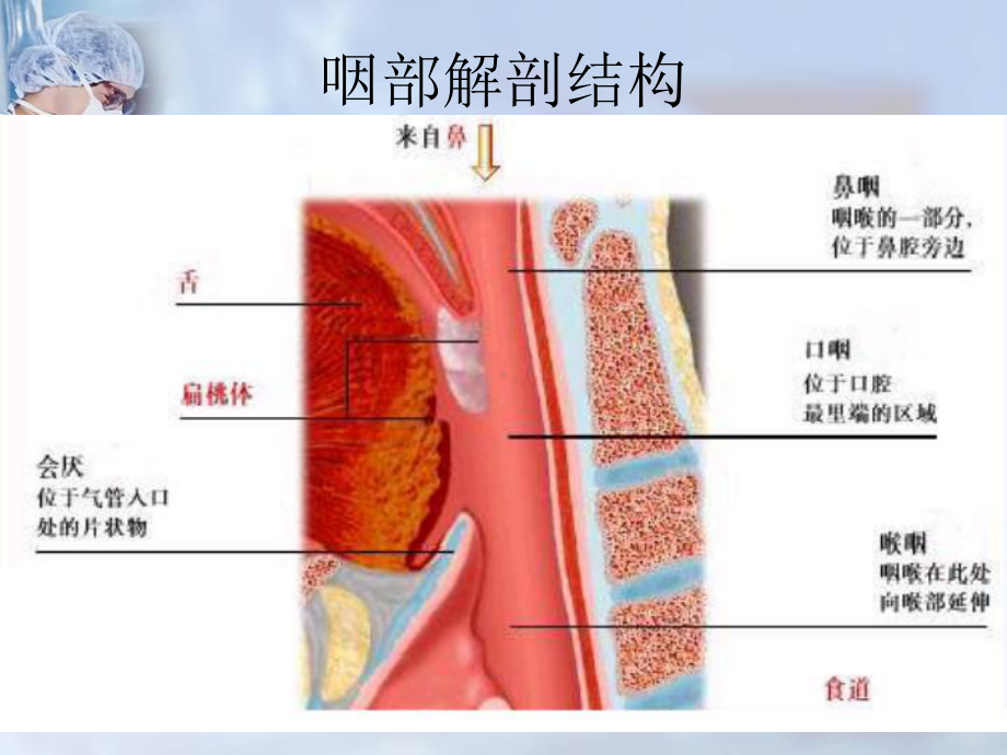 急救喉罩应用主题讲座课件ppt.ppt_第2页