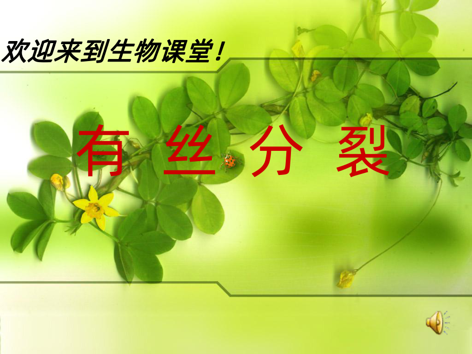 有丝分裂完整版PPT课件.ppt_第1页