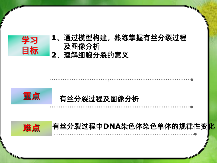 有丝分裂完整版PPT课件.ppt_第2页