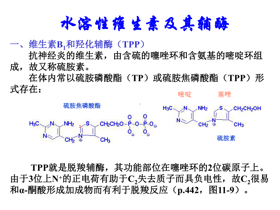 维生素与辅酶PPT课件.ppt_第1页