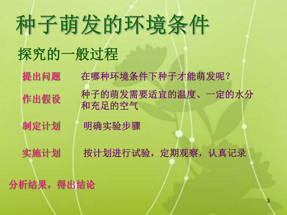 种子的萌发张PPT课件.ppt_第3页