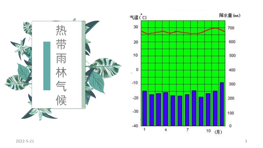 热带雨林的开发与保护PPT课件.pptx_第3页