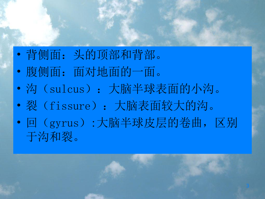 神经元和脑ppt课件.ppt_第3页