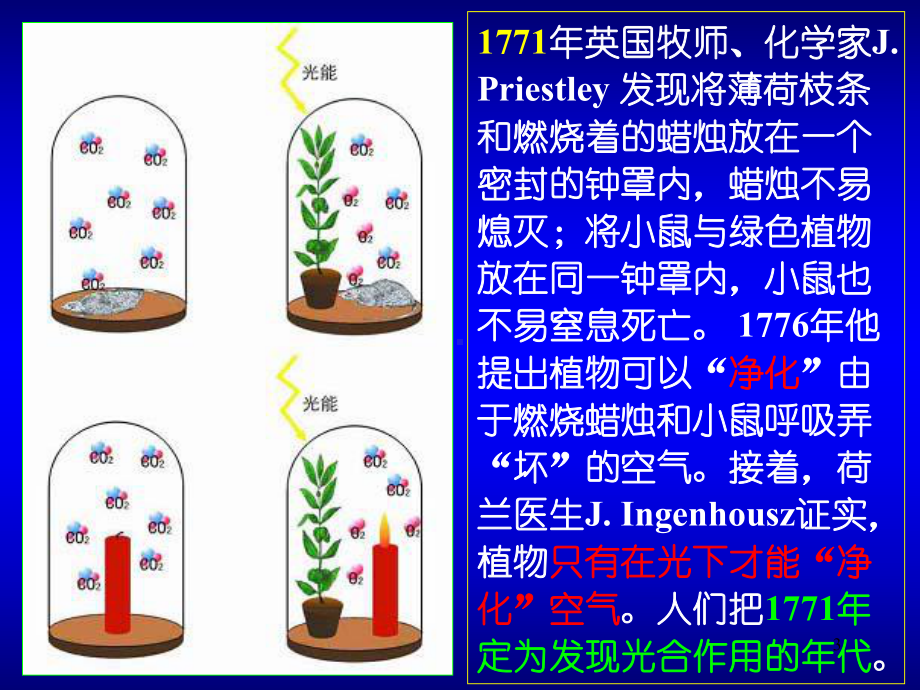 复旦大学生化课件-光合作用ppt课件.ppt_第3页