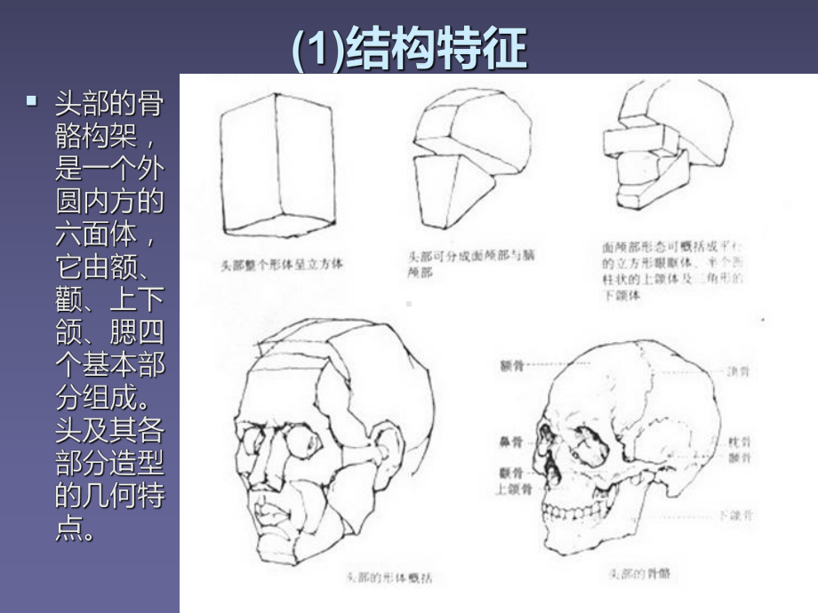 人物头像篇)PPT课件.ppt_第2页