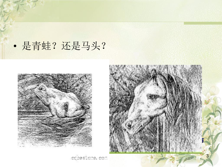 走进心理学与心理健康PPT课件(同名314).ppt_第3页