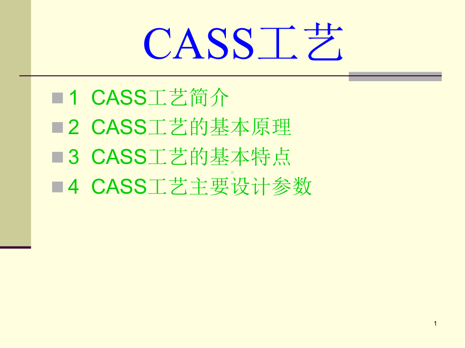 CASS工艺简介ppt课件.ppt_第1页