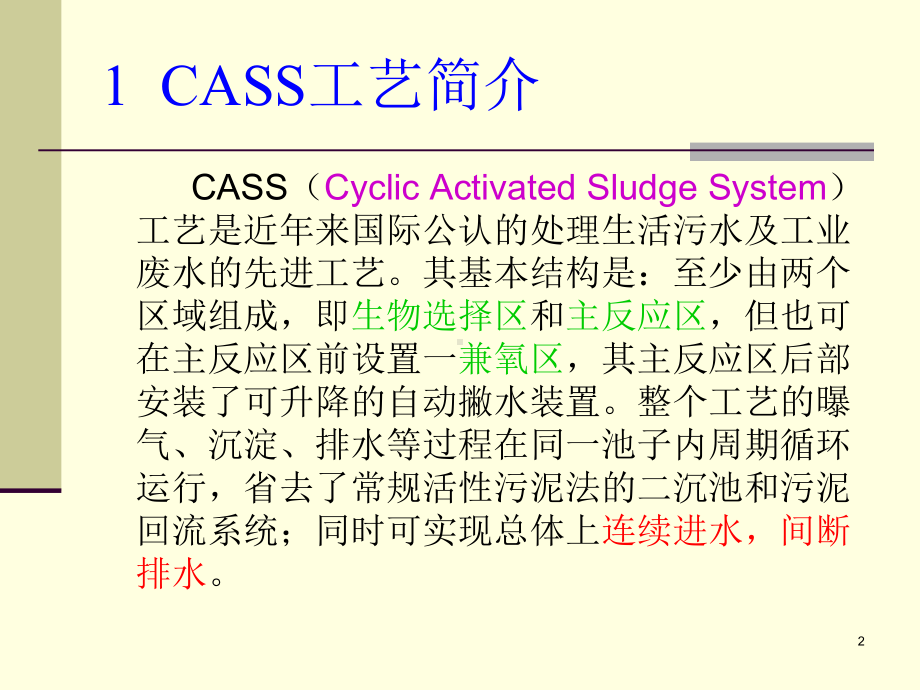 CASS工艺简介ppt课件.ppt_第2页