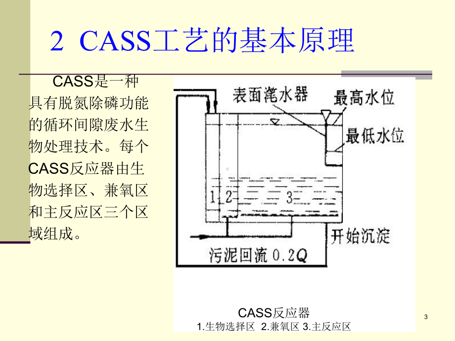 CASS工艺简介ppt课件.ppt_第3页