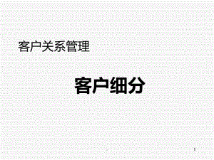 -客户细分PPT课件.ppt