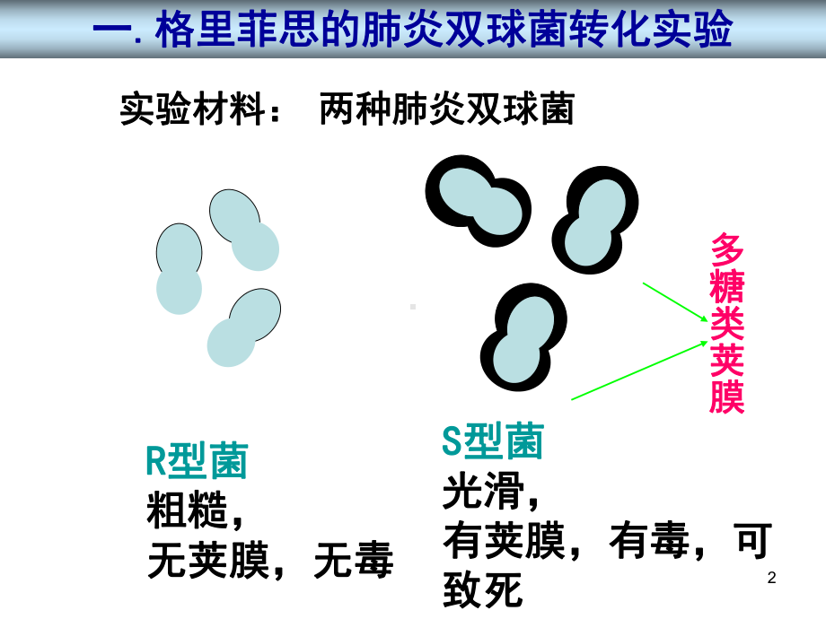 人教版高中生物必修二第三章复习PPT课件.ppt_第2页