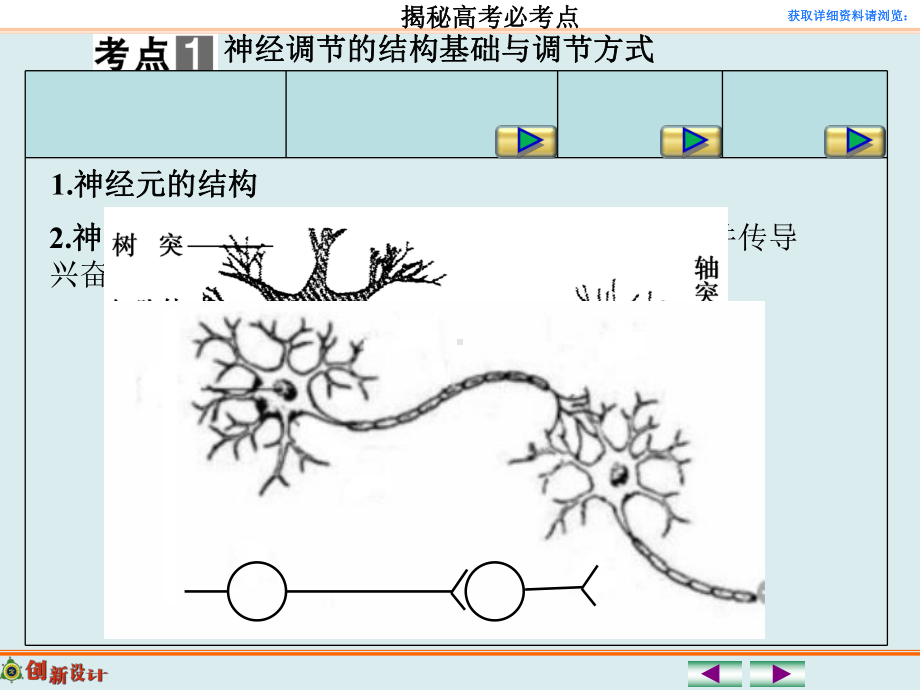 312高中生物必修三一轮复习PPT课件.ppt_第3页