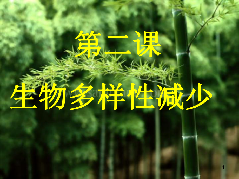 生物多样性减少ppt课件.ppt_第1页