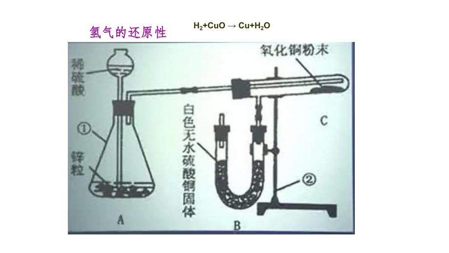 神奇的氢气生物学效应PPT课件.ppt_第3页