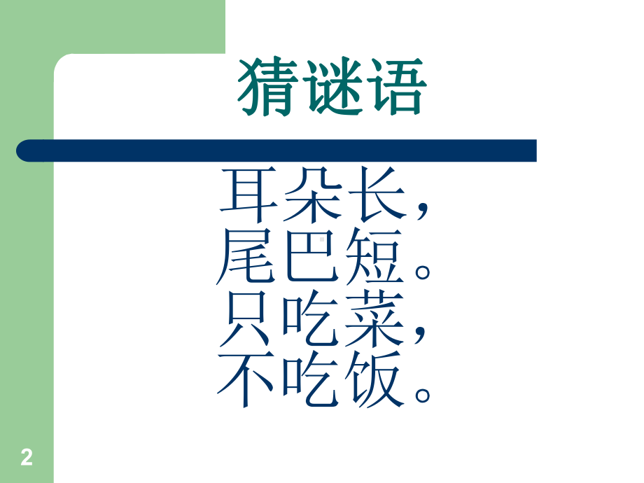 我们的动物朋友ppt课件.ppt_第2页