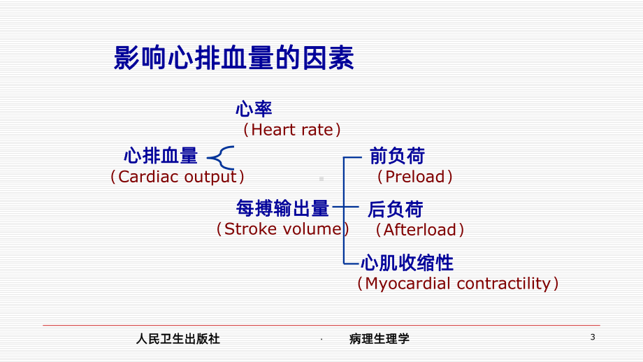 心功能不全课件.ppt_第3页