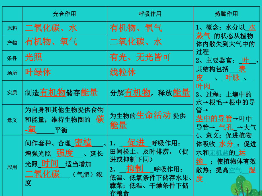 七年级生物上册2.1植物的三大作用复习课件济南版.ppt_第2页