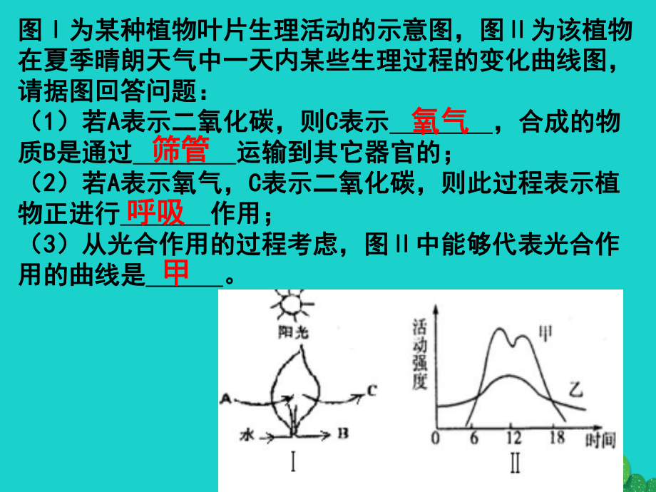 七年级生物上册2.1植物的三大作用复习课件济南版.ppt_第3页